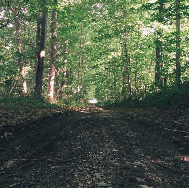 A trail road in Vermont