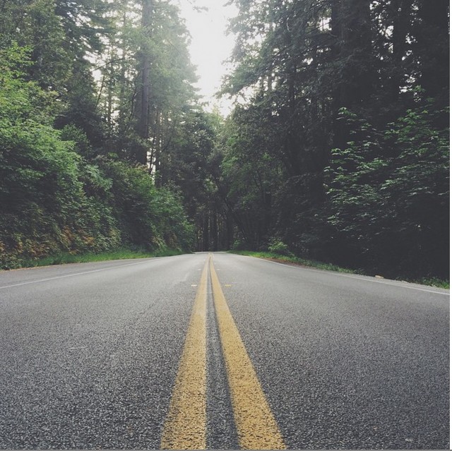 low view of a road in northern california