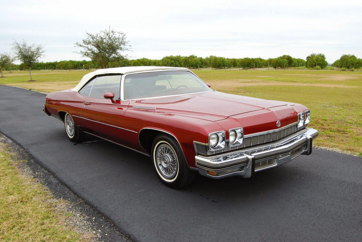 Malaise Monday: 1974 Buick LeSabre Luxus | The AutoTempest Blog